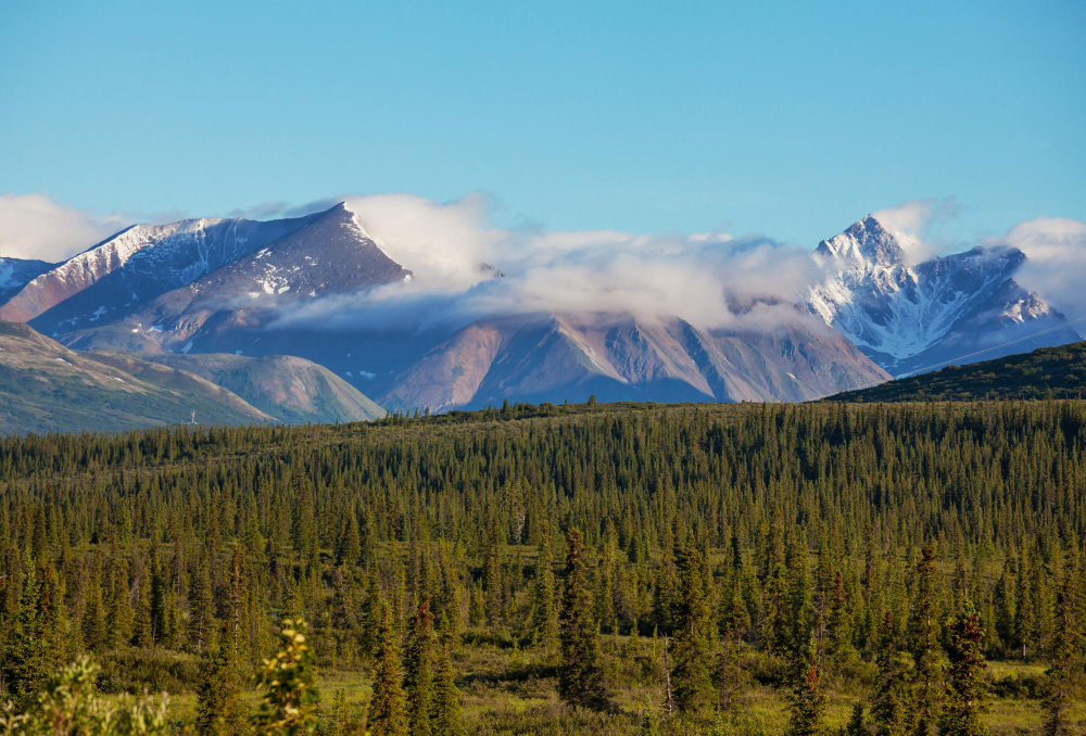 Unraveling the Majesty of Alaska: The Largest State in the US
